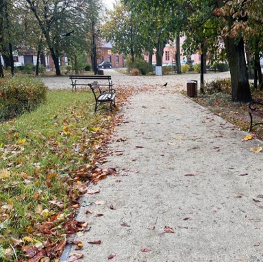 Ścieżka w parku z ławeczkami, drzewami o jesiennych liściach i koszami na śmieci.