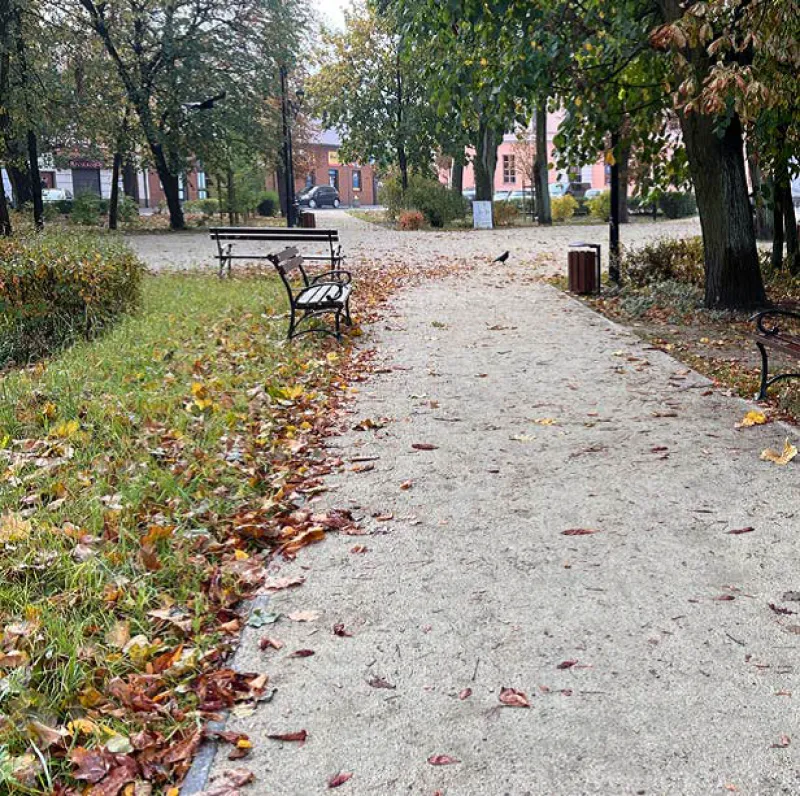 Ścieżka w parku z ławeczkami, drzewami o jesiennych liściach i koszami na śmieci.