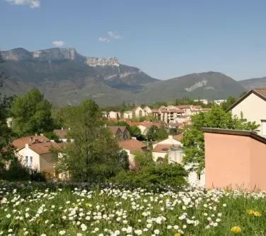 Zabudowa mieszkalna na tle gór z zielonym polem i kwiatami w pierwszym planie.