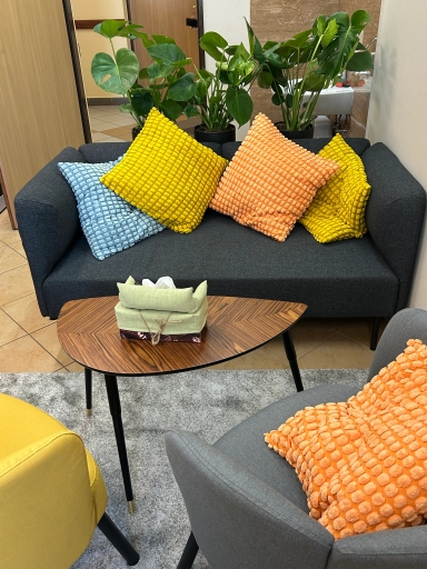 Pokój wypoczynkowy z ciemnoszarym sofą ozdobioną czterema kolorowymi poduszkami, dwoma fotelem, małym trójkątnym stolikiem z chusteczkami i trzema dużymi roślinami doniczkowymi za sofą.