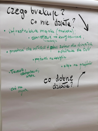 Lista pytań i uwag dotycząca braków i działania, napisana na dużym arkuszu papieru czarnym i zielonym markerem.