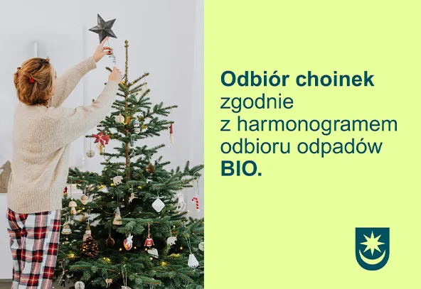 Kobieta w swetrze i spodniach w kratę dekoruje choinkę w jasnym pokoju. Obok znajduje się tekst dotyczący odbioru choinek zgodnie z harmonogramem odbioru odpadów BIO na jasnozielonym tle.