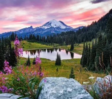 Jezioro otoczone zielonymi łąkami i lasem iglastym, z ośnieżoną górą w tle i różowawym niebem o zachodzie słońca.