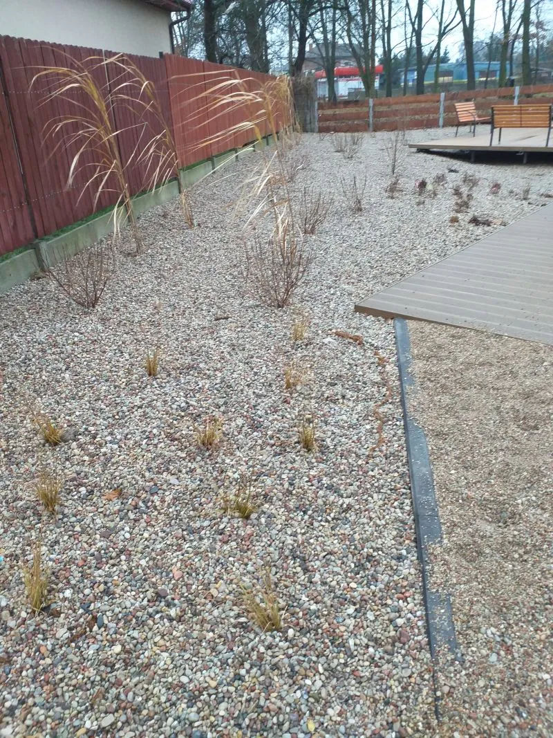 Teren pokryty drobnymi kamieniami z rozrzuconymi kępami traw i krzewów obok drewnianej platformy oraz ogrodzenia.